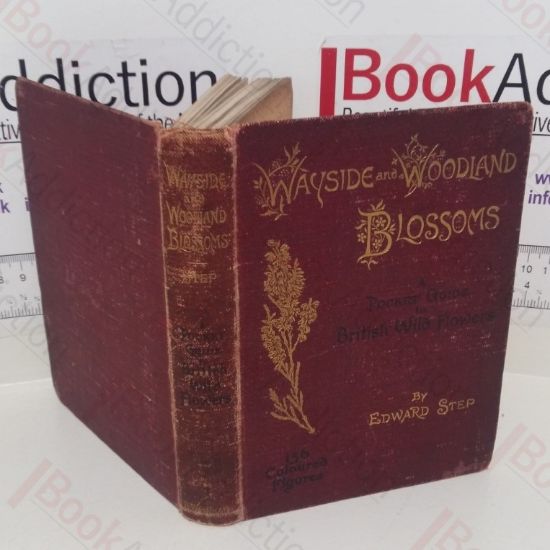 Picture of Wayside and Woodland Blossoms: A Pocket Guide to British Wild-Flowers for the Country Rambler