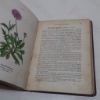 Picture of Wayside and Woodland Blossoms: A Pocket Guide to British Wild-Flowers for the Country Rambler