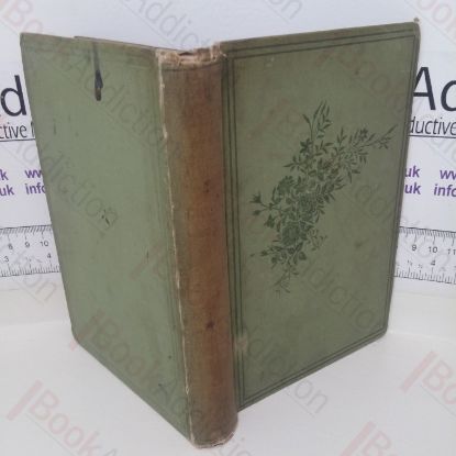 Picture of The Herb of the Field reprinted from 'Chapters on Flowers' in the Magazine for the Young