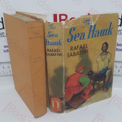 Picture of The Sea Hawk