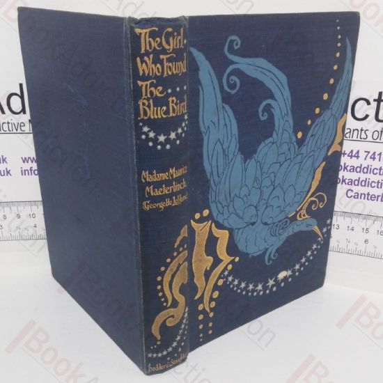 Picture of The Girl Who Found the Blue Bird