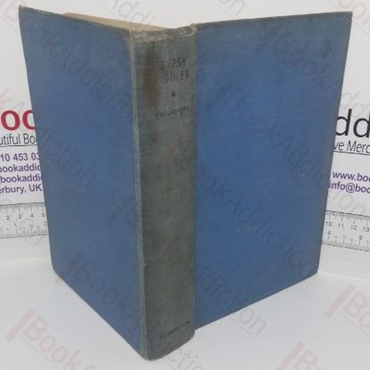 Picture of Gypsy Fiddler