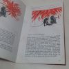 Picture of Manual of Firemanship: A Survey of the Science of Fire-fighting - A Supplement, The Behaviour of Fire, Compartment Fires