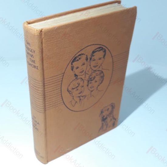 Picture of The Bobbsey Twins at the Seashore