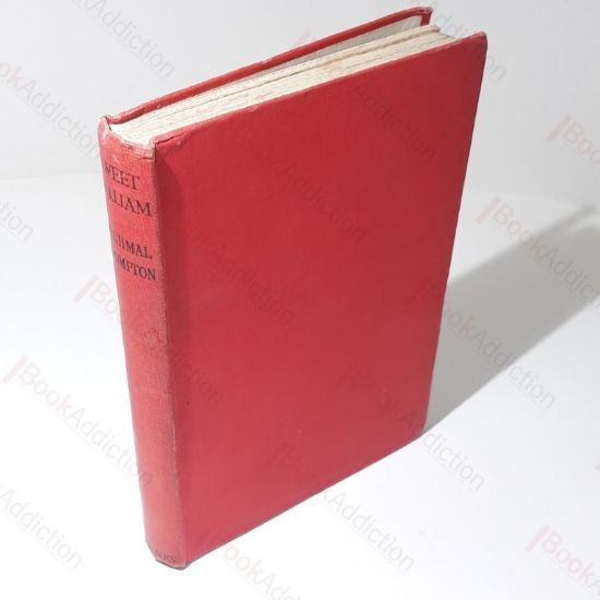 Picture of Sweet William (Just William)