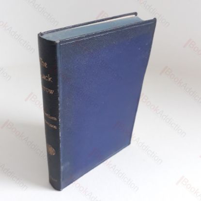 Picture of The Black Arrow (Winchester Classics Series)