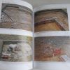 Picture of Surrey Archaeological Collections Relating to the History and Antiquities of the County, Vol 96