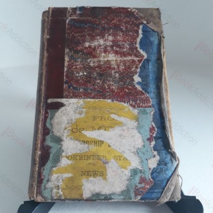 Picture of The Previsions of Lady Evelyn