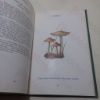 Picture of Edible and Poisonous Fungi (Bulletin No. 3)