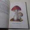 Picture of Edible and Poisonous Fungi (Bulletin No. 3)