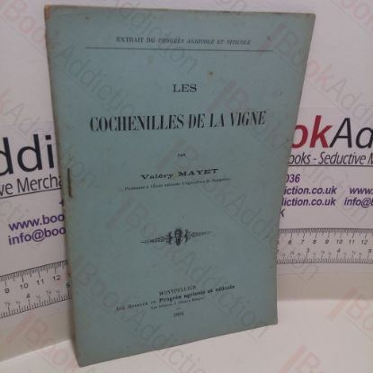 Picture of Les Cochenilles De La Vigne [Caterpillars of the Vine]