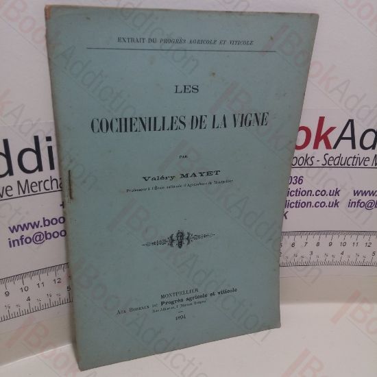 Picture of Les Cochenilles De La Vigne [Caterpillars of the Vine]