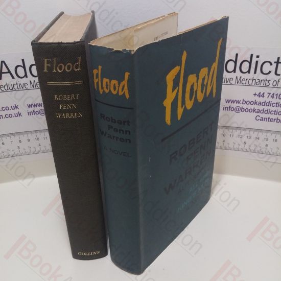 Picture of Flood : A Novel