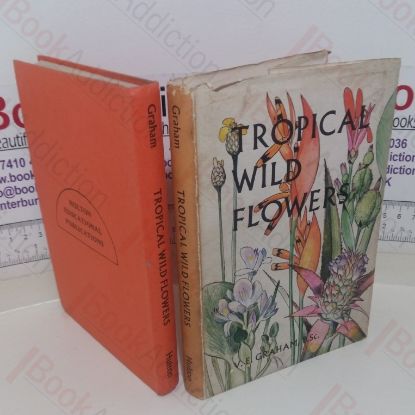 Picture of Tropical Wild Flowers