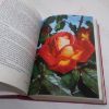 Picture of The Rose: A Complete Handbook