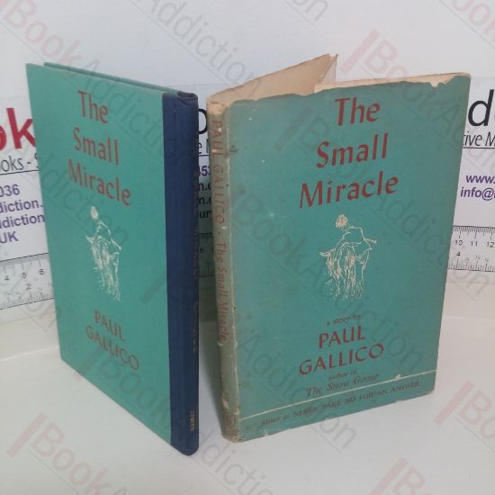 Picture of The Small Miracle