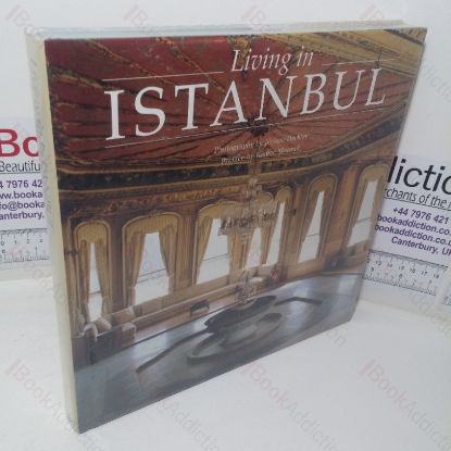 Picture of Living in Istanbul