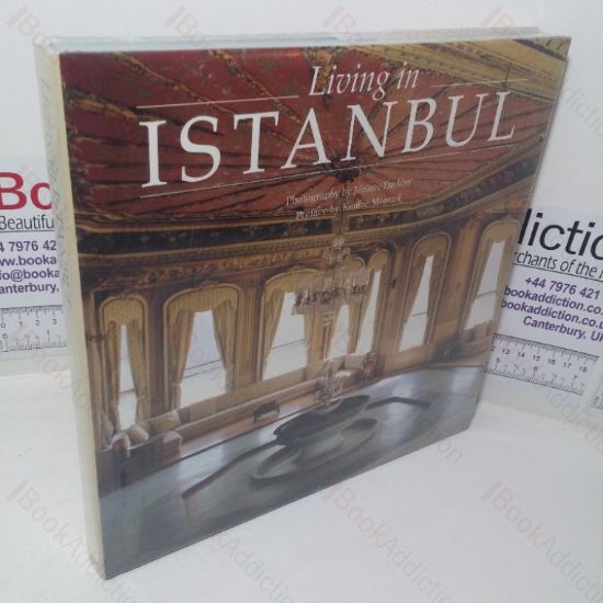 Picture of Living in Istanbul