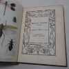 Picture of British Insects (General) (The Abbey Nature Books series, Volume V)