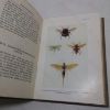 Picture of British Insects (General) (The Abbey Nature Books series, Volume V)