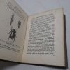 Picture of British Insects (General) (The Abbey Nature Books series, Volume V)