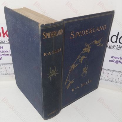 Picture of Spiderland