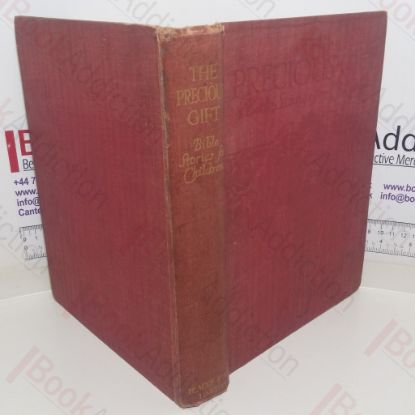 Picture of The Precious Gift - Bible Stories for Children
