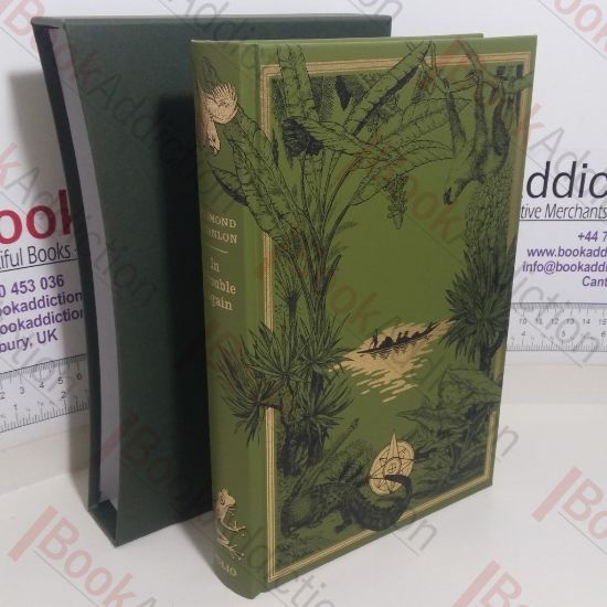 Picture of In Trouble Again