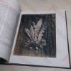 Picture of The Folio Society Book of the 100 Greatest Photographs