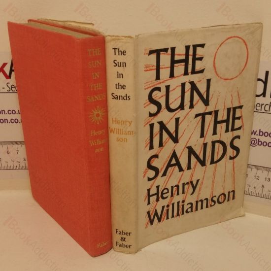 Picture of The Sun in the Sands