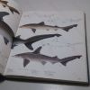 Picture of Fishing: The Complete Book