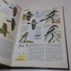 Picture of The Birdlife of Britain: A Dramatic New Way of Identifying and Understanding the Birds of Britain and Europe