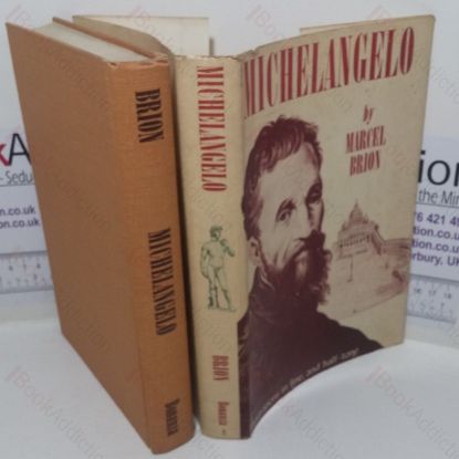 Picture of Michelangelo