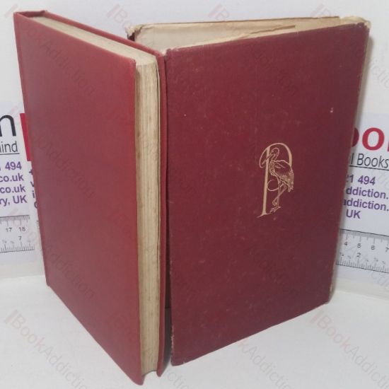 Picture of An Ambassador in Bonds