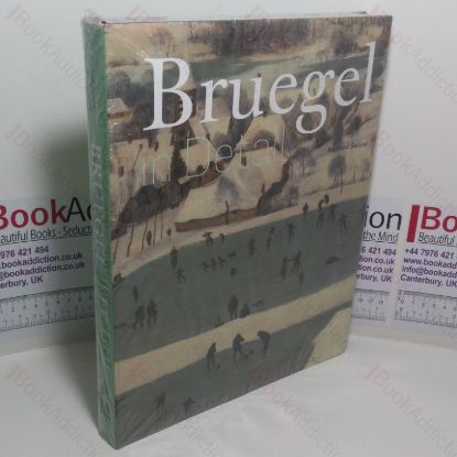 Picture of Bruegel in Detail