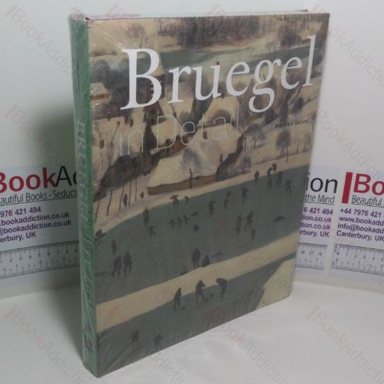 Picture of Bruegel in Detail