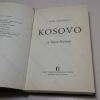 Picture of Kosovo: A Short History