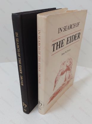 Picture of In Search of the Eider