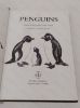 Picture of Penguins