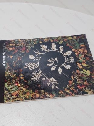 Picture of A' Chraobh - The Tree