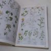 Picture of Collins Pocket Guide to Wild Flowers