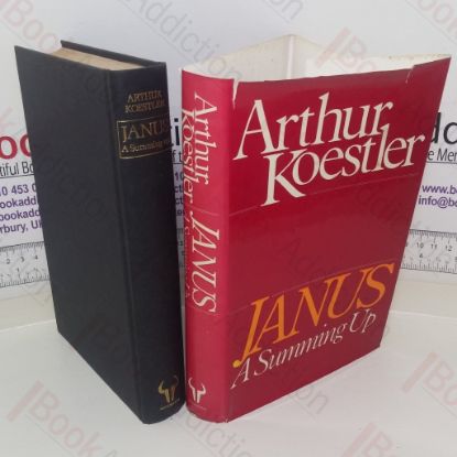 Picture of Janus: A Summing Up