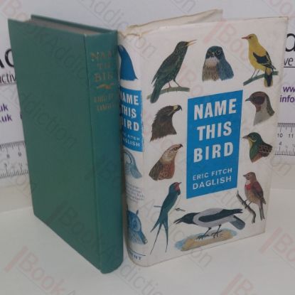 Picture of Name This Bird