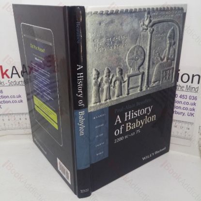 Picture of A History of Babylon, 2200 BC - AD 75 (Blackwell History of the Ancient World series)
