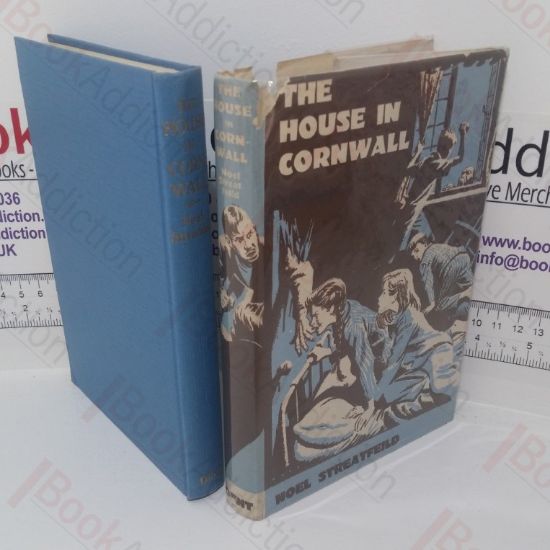 Picture of The House in Cornwall