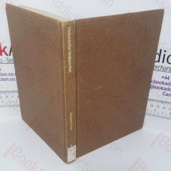 Picture of Holes in the Welfare Net