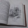Picture of The Personal History of David Copperfield (The Oxford Illustrated Dickens)