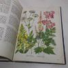 Picture of The Oxford Book of Garden Flowers