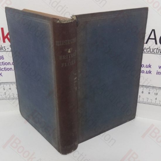 Picture of Illustrations of the British Flora: A Series of Wood Engravings, with Dissections of British Plants