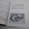 Picture of The Keeping & Breeding of Corn Snakes (The Herpetocultural Library series)